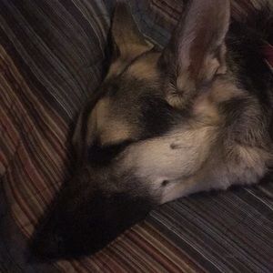 Meet your Posher, Scott